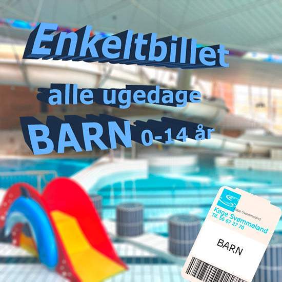 Billede af Barn Dagsbillet