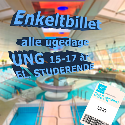 Billede af Ung/ Studerende Dagsbillet