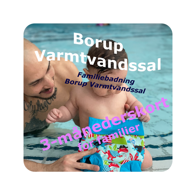 Billede til varegruppe 3-månederskort til Familie